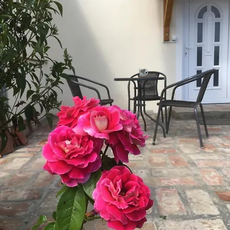 Gasthuis Jokai Vendeghaz Homokkomarom